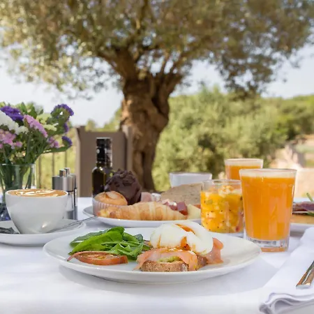 Hotel Treurer - Olive Grove & Grand House - Adults Only