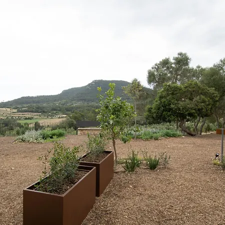 Hotel Treurer - Olive Grove & Grand House - Adults Only 5*