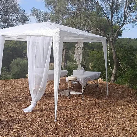 Treurer - Olive Grove & Grand House - Adults Only Algaida (Mallorca)