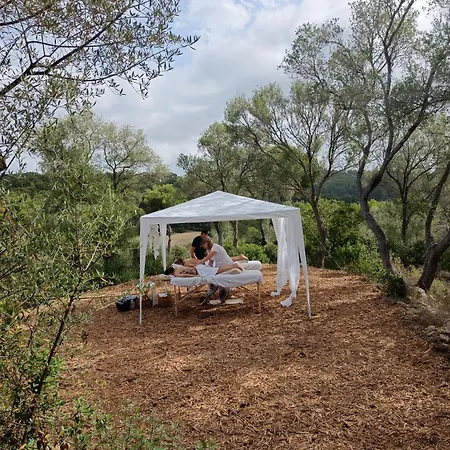 Hotel Treurer - Olive Grove & Grand House - Adults Only 5*