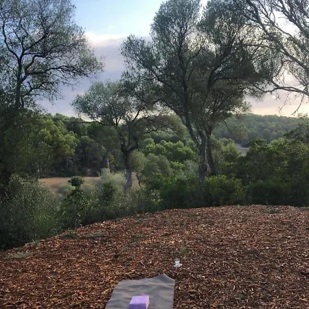 Treurer - Olive Grove & Grand House - Adults Only מלון 5*