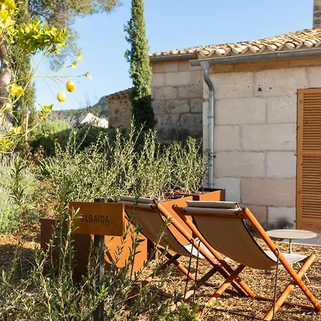 Treurer - Olive Grove & Grand House - Adults Only Hotel 5*