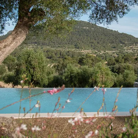 Hotel Treurer - Olive Grove & Grand House - Adults Only