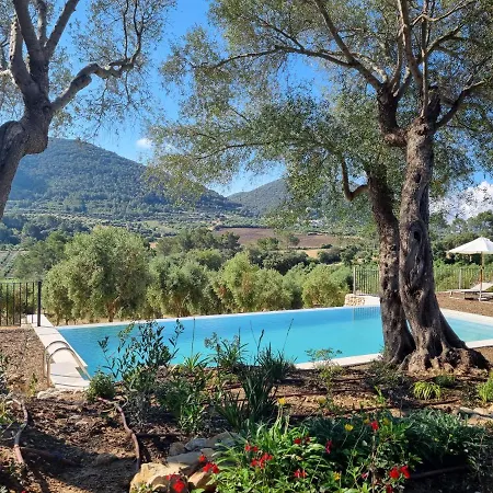 Treurer - Olive Grove & Grand House - Adults Only 5*