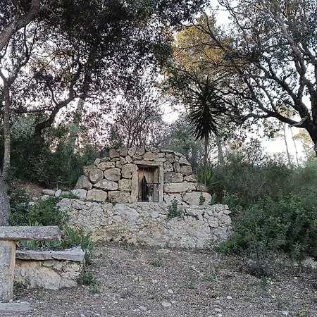 Treurer - Olive Grove & Grand House - Adults Only Hotel Algaida (Mallorca)
