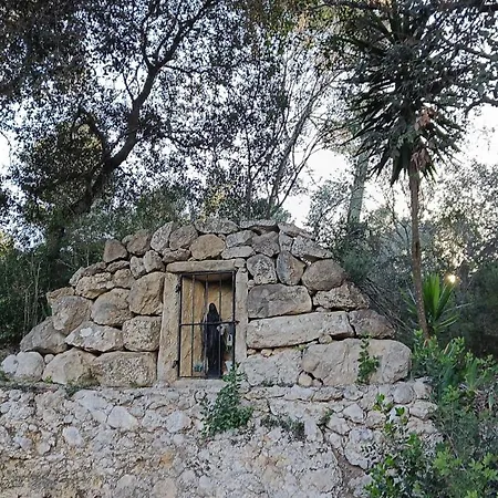 Treurer - Olive Grove & Grand House - Adults Only Algaida (Mallorca)