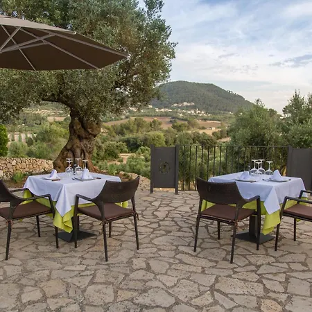 Hotel Treurer - Olive Grove & Grand House - Adults Only Algaida (Mallorca)